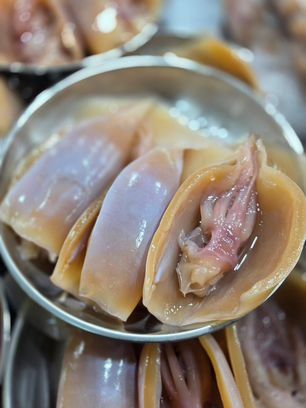 Fresh Wet Cuttlefish