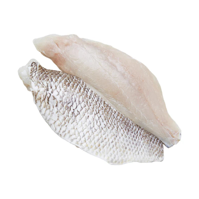 White Snapper Fillet 500gm
