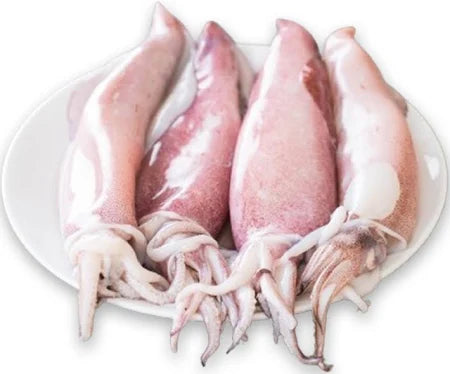 Fresh Whole Squid (700–800g)
